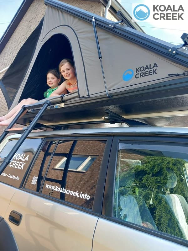 Koala Creek Roadtrip 130 — afbeelding 3